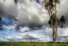 利来体育:WTT新加坡大满贯:王楚钦 梁靖崑携手挺进男单16强.